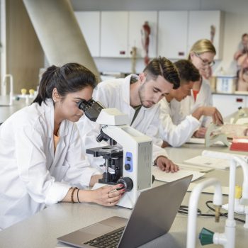 diferença entre ciências médicas e medicina