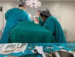 HUSFP realiza transplante renal
