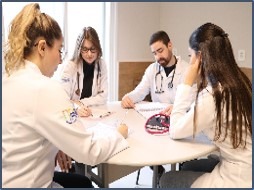 medicina ucpel