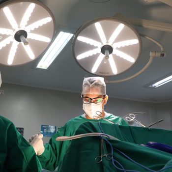 MEDICINA UCPEL ATENDIMENTO MÉDICO NO HUSFP